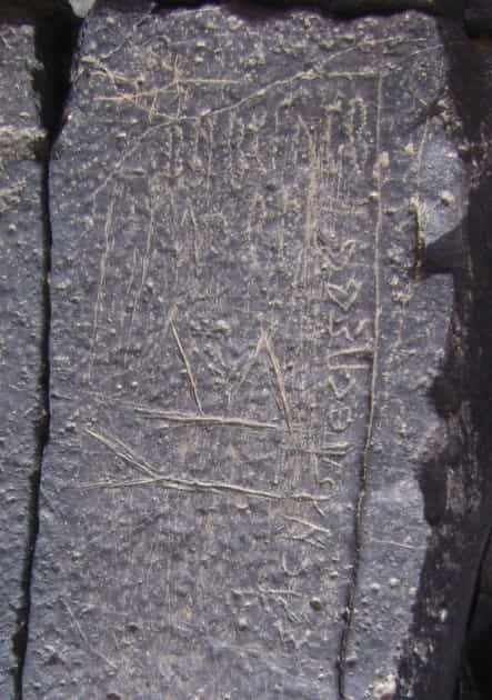 الشرعي ضركام6